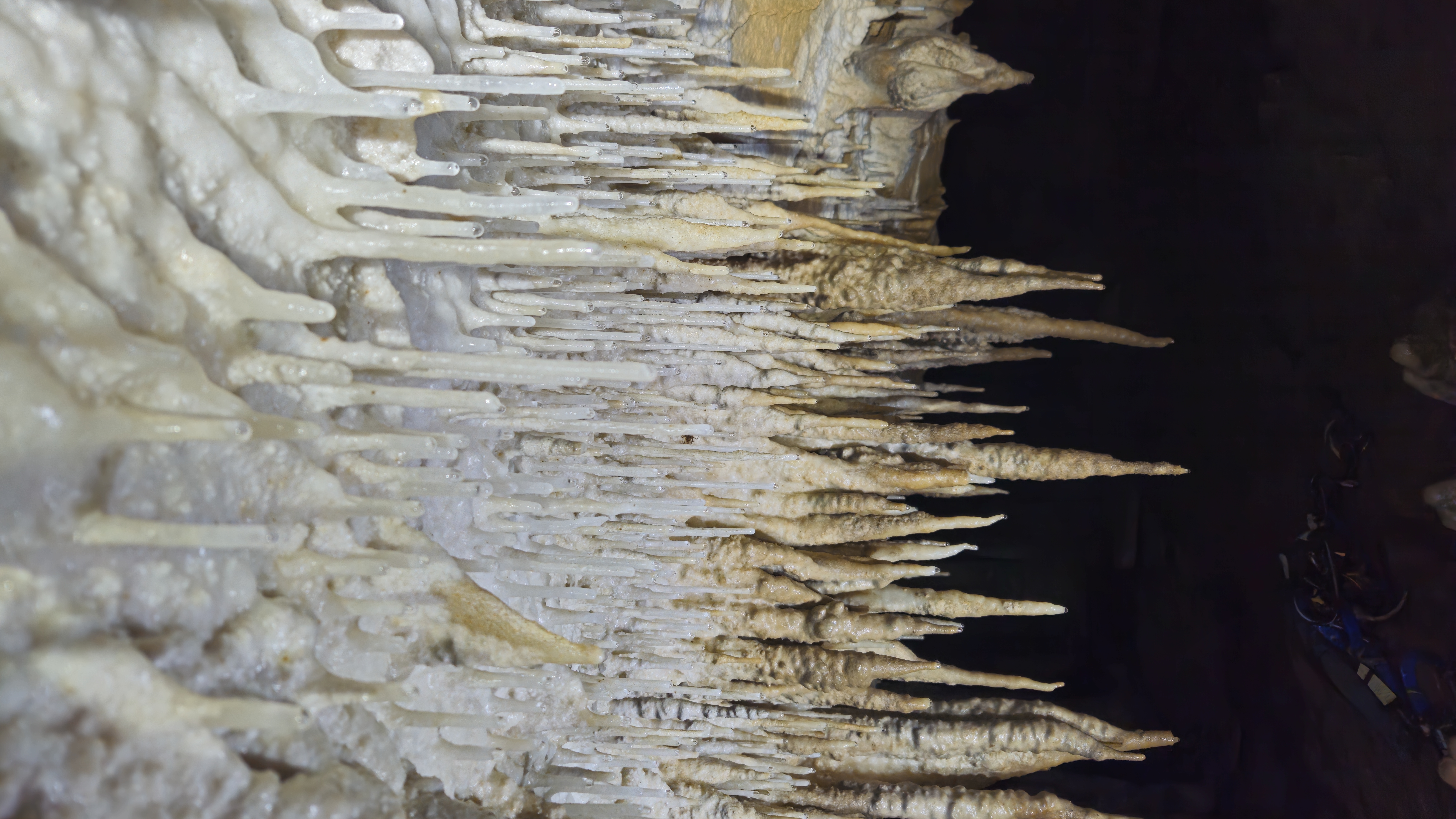 Cavers standing in a chamber with warm cave lighting